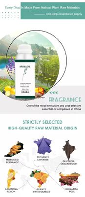 Factory Direct Sales Perfume Oils Concentrated Fragrance Brand Fragrance Oil Diffuser Essential Oil