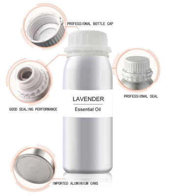 Hot Selling Manufacturer Wholesale Fragrance Oil for Home, Hotel, Office Waterlessaromatherapy Diffuser Essential Oil